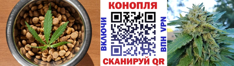 где можно купить наркотик  Можайск  Cannafood марихуана 