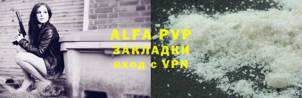 ECSTASY Ладушкин