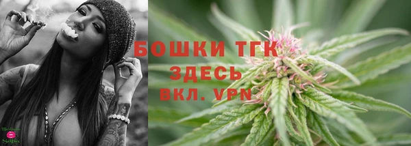 ECSTASY Ладушкин