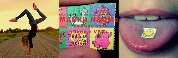 ECSTASY Ладушкин