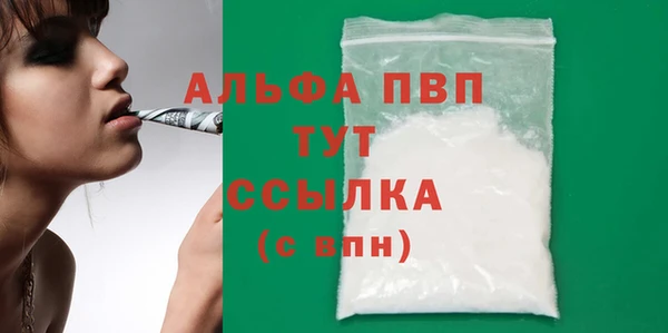 ECSTASY Ладушкин