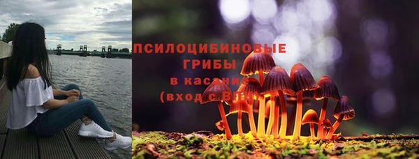 COCAINE Лабытнанги